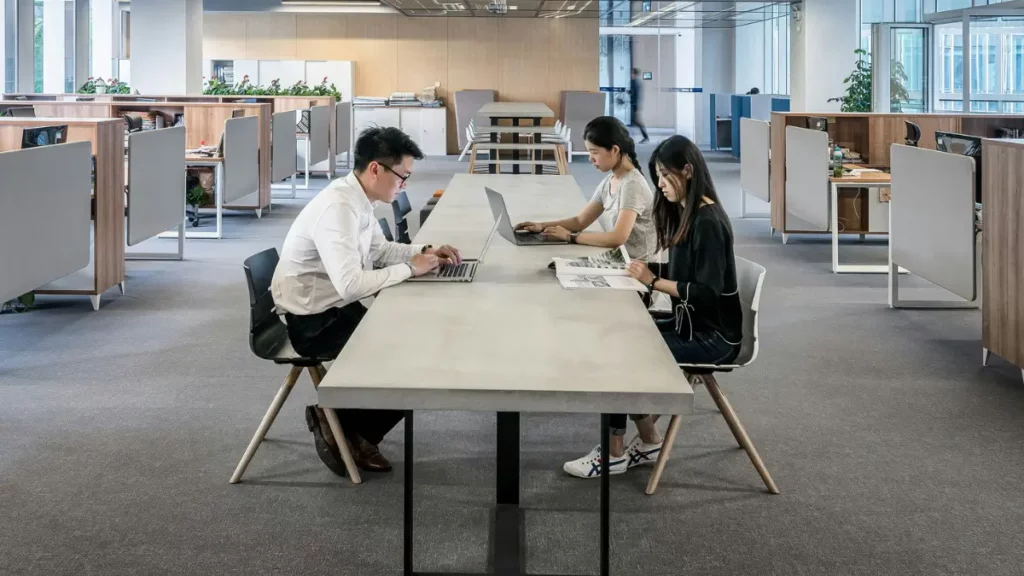 método/metodologia 5s