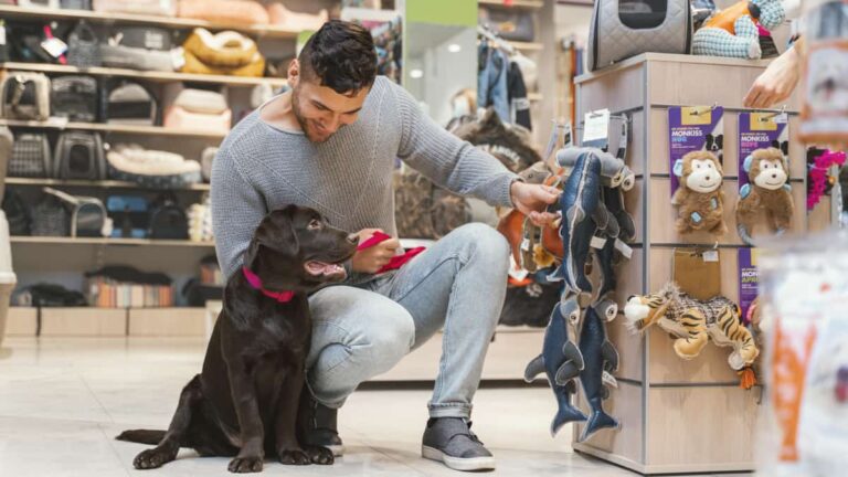 bio (biografia) para instagram pet shop