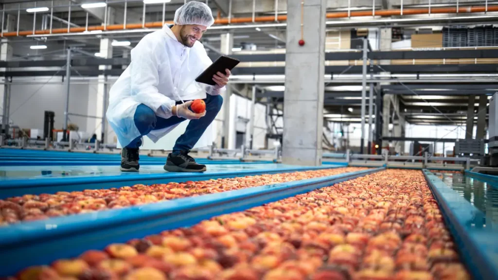 erp para indústria de alimentos