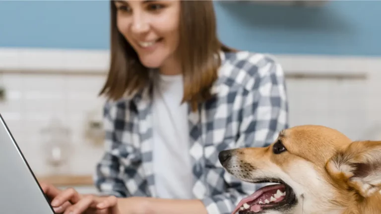 mercado pet no Brasil