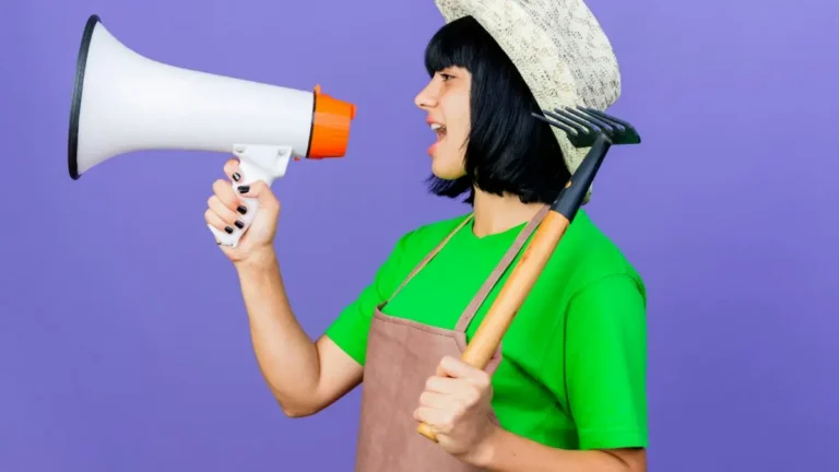 anuncio gratuito olx​